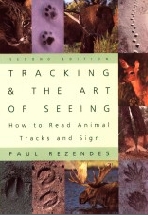tracking and the art of seeing
